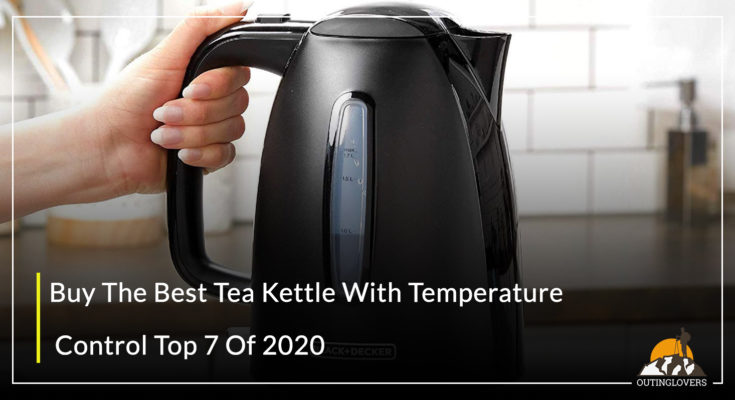 Buy The Best Tea Kettle With Temperature Control