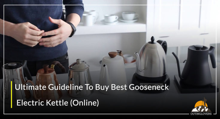 Ultimate Guideline To Buy Best Gooseneck Electric Kettle (Online)