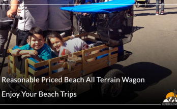 Beach All Terrain Wagon