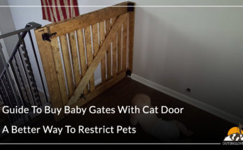 Baby Gates With Cat Door