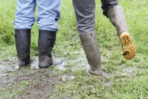 Best Snake Boots for Hunting