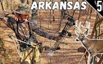 Hunting Season in Arkansas