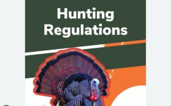 What Type of Information Would You Find in a Hunting Regulations Publication?