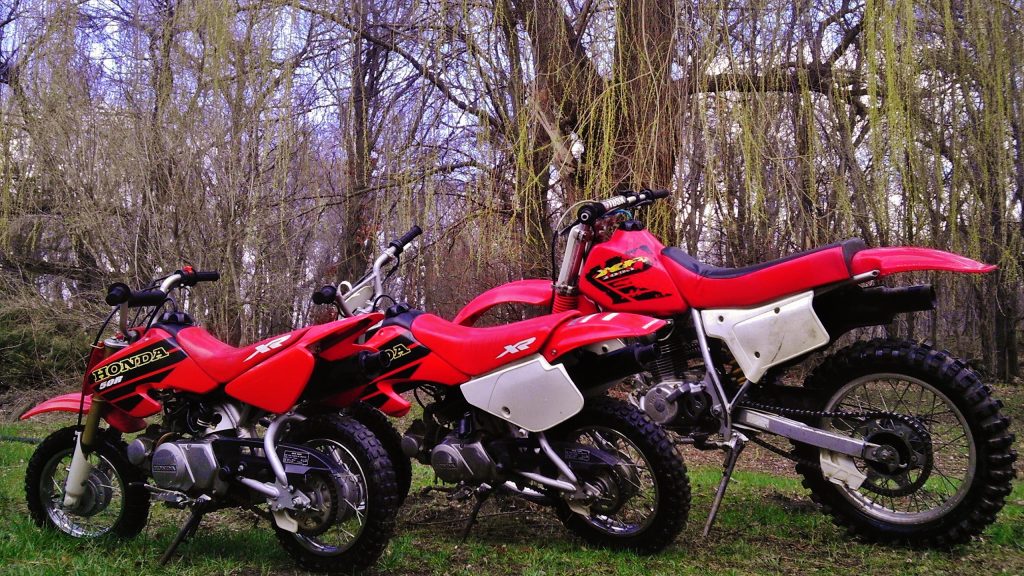 different sizes of dirt bikes
